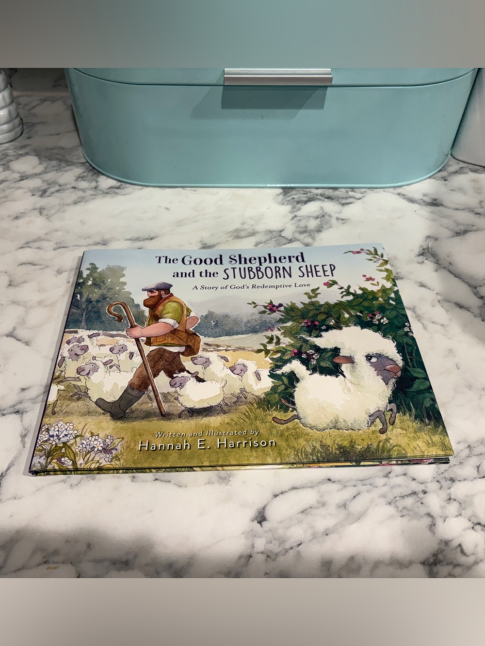 The Good Shepherd and the Stubborn Sheep